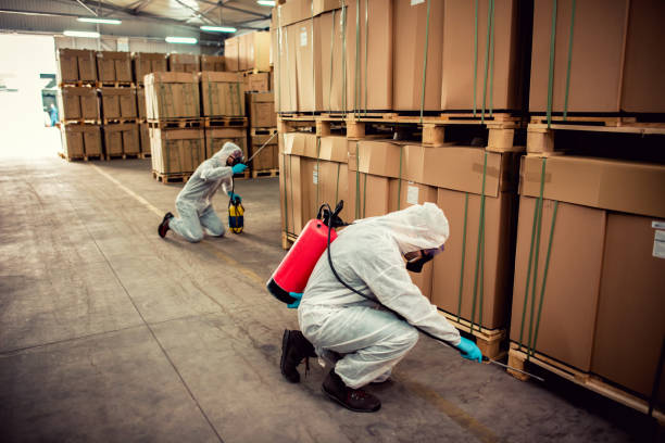 Best Cockroach Control Services  in Beacon Square, FL