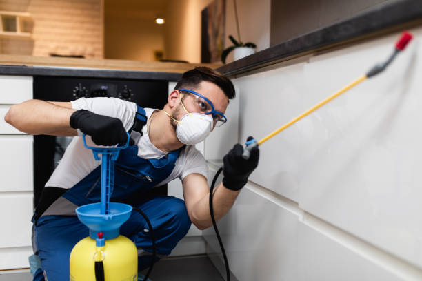 Best Mosquito Control Services  in Beacon Square, FL