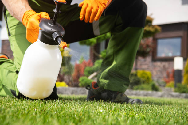 Best Best Pest Control Companies  in Beacon Square, FL