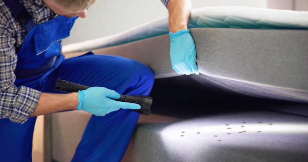 Best Termite Control Services  in Beacon Square, FL