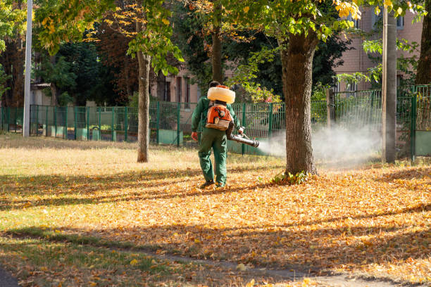 Best Wasp Removal Services  in Beacon Square, FL